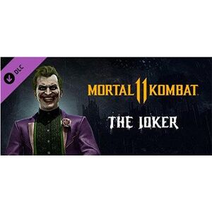 Mortal Kombat 11 The Joker (PC) Steam